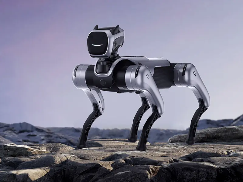Embodied AI Quadruped Robot Teaching Platform